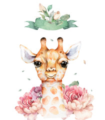 Wall Mural - Poster with a baby giraffe. Watercolor cartoon giraffe tropical animal illustration. Jungle exotic summer design