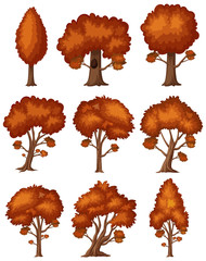 set of trees with red leaves on white background