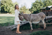 A Young Woman Is Standing Near Donkey And Laughing. Model On Summer Field With Donkey .