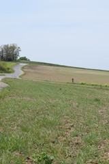 Wall Mural - Frühling im Sumpfland der Eifel, Weg durch die Thürer Wiesen