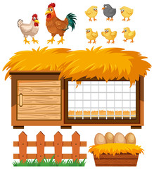 Poster - Chicken coop and many chickens on white background