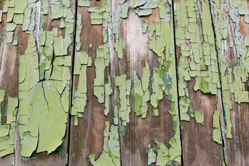 Wall Mural - Old wooden background with peeling paint. Vintage boards with blue and green coating. Aquamarine shades on brown and beige pieces of wood knocked into a solid surface.