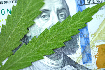 Concept of income from marijuana and the medical industry, the economy of the hemp industry. American dollar on cannabis leaf. Taxation and marijuana, weed tax