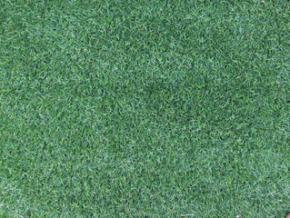 Fake green grass for background or backdrop.