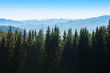 © murika - Picturesque mountain panoramic landscape with fir trees and mountain tops.