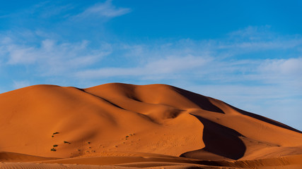 sand dunes in the sahara