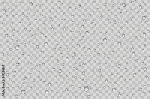 Cuadros en Lienzo Water droplets on a transparent glass. Rain drops on window.