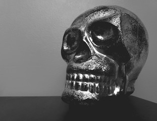 Skull Figurine