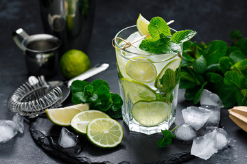 Wall Mural - Refreshing summer alcoholic cocktail mojito with ice, fresh mint and lime