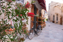 Red Flowers On A Callistemon Viminalis Plant, With A Bicylcle And A Street Of Saint Florent In The Background