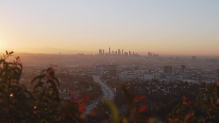 Wall Mural - Los Angeles Skyline