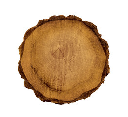 Wall Mural - felled piece of wood from a tree trunk with growth rings isolated on white.