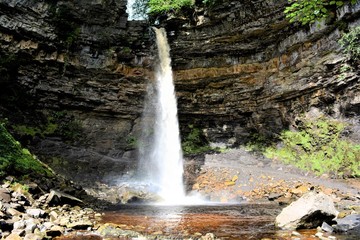 Hardraw Force