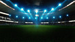 © appledesign - Night football arena in lights close up. soccer stadium.