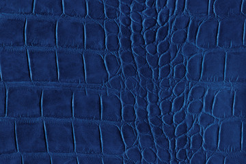 Wall Mural - Blue crocodile or reptile skin of high quality and high resolution. Texture and background of crocodile dark blue skin in square pattern for wallets, purse, bags and interior design.