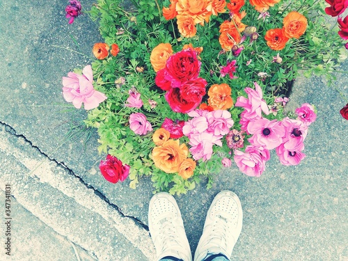 Direct Above View Of Human Feet And City Flowers