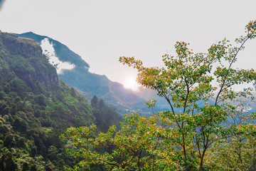 The sun comes out from between a tree and two mountains