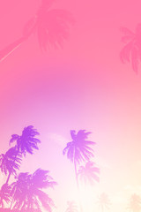 Wall Mural - copy space of tropical palm tree with sun light on sky background.