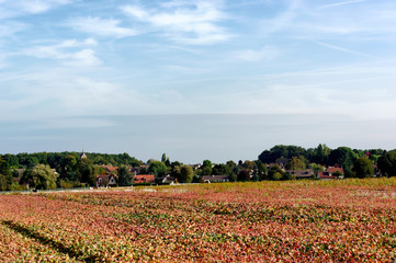 Les Molières village and Agricultural fields in Ile de France country