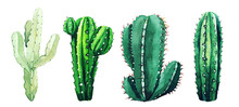 Watercolor Set Of Cactus Plants And Succulents