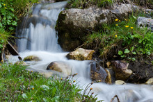Natural Small Waterstream Flowing Through Meadow In The Alps