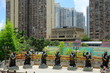 Hong Kong China - Statues of Chinese zodiac animal signs at the Sik Sik Yuen Wong Tai Sin Temple