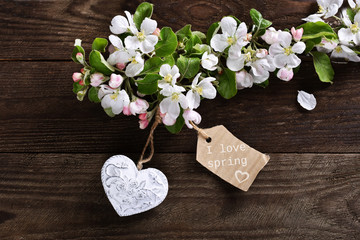 Wall Mural - I love spring background with apple blossom branch  and a heart with paper tag