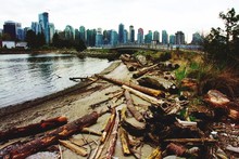Deforested Log At Riverbank With City In Background