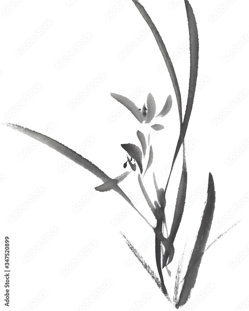 蘭 禅 水墨画 Stock Illustration | Adobe Stock