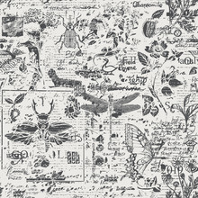 Vector Seamless Pattern With Insects And Herbs In Retro Style. Abstract Black And White Background With Illegible Scribbles And Sketches On An Old Newspaper Backdrop. Wallpaper, Wrapping Paper, Fabric