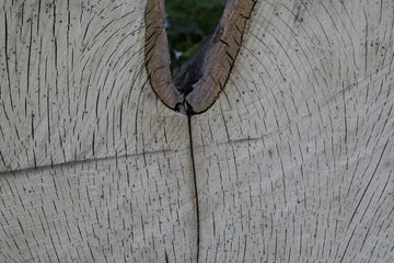 Sticker - old wooden door