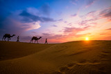 Fototapeta Zachód słońca - Indian cameleers (camel driver) bedouin with camel silhouettes in sand dunes of Thar desert on sunset. Caravan in Rajasthan travel tourism background safari adventure. Jaisalmer, Rajasthan, India