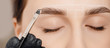 © Parilov - Correction and tinting eyebrows, master applies brush to woman marking on brow. Cosmetic procedures spa care