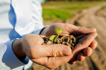 Farmer's Hands Hold A Handful Of Fertile Land, Close-Up