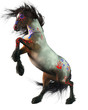 A roan coated war horse wearing Native American war paint.  This Indian pony is rearing up on a white background. 3D Rendering 