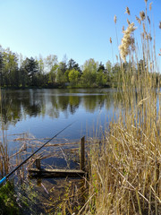 Pond, lake, fishing. A place for fishing. Quiet, calm lake, spinning fishing process.