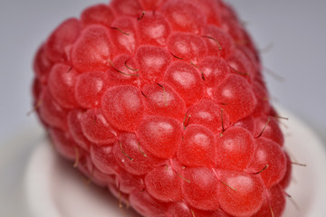 Raspberry