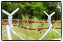 Close-up Of Barbed Wire Fence