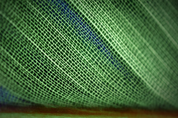 Green Leaf Background