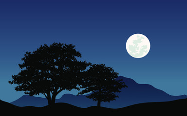 full moon over the forest