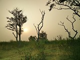 Fototapeta Sawanna - Sunset in india