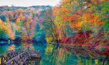 Autumn Forest Landscape Reflection On The Water With Wooden Pier - Autumn Landscape In (seven Lakes) Yedigoller Park Bolu, Turkey