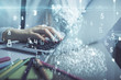 © peshkova - Multi exposure of woman hands working on computer and data theme hologram drawing. Tech concept.