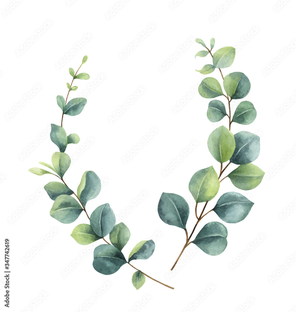 Watercolor vector wreath with green eucalyptus leaves and branches. - obrazy, fototapety, plakaty 