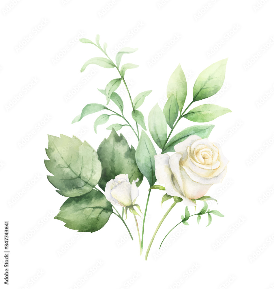 Watercolor vector clipart with green eucalyptus leaves and white roses ...