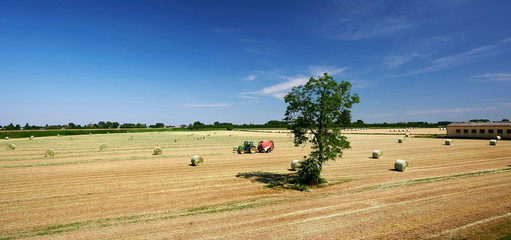 Wall Mural - lavori agricoli