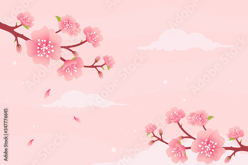 Photo Japanese sakura flowers background.