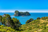 Fototapeta  - View of Gemstone Bay while walking to Cathedral Cove in New Zealand