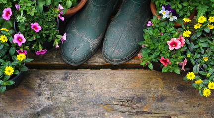 Outdoor spring gardening plants concept with green gardening bootson old wooden table. 