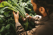 © Criene Images - Male gardener holding freshly harvested turnips from garden